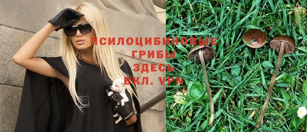 прущая мука Дмитров