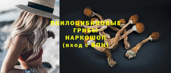 прущая мука Дмитров