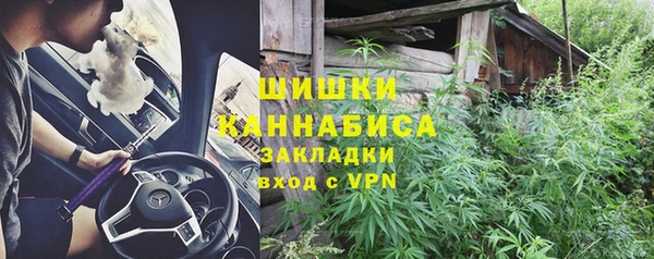 хмурый Дмитриев