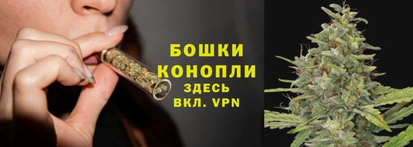 хмурый Дмитриев