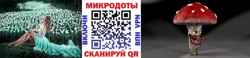 купить   Кизилюрт  Псилоцибиновые грибы Psilocybine cubensis 